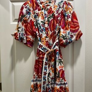 Farm Rio belted dress.  Worn 2 times.